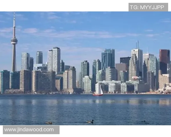 美国与加拿大足球对决:历史渊源与未来展望的深度分析 美国与加拿大足球对决:历史渊源与未来展望的深度分析