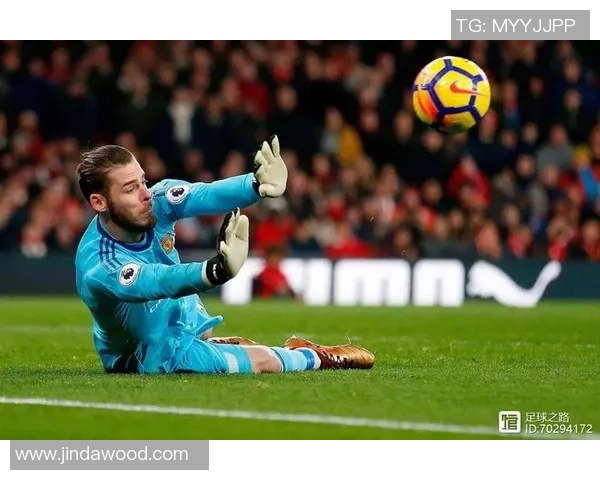 迈尼昂：从青涩小将到世界顶级门将的华丽蜕变之路