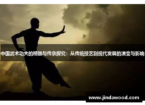 中国武术功夫的精髓与传承探究：从传统技艺到现代发展的演变与影响
