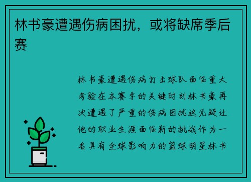 林书豪遭遇伤病困扰，或将缺席季后赛