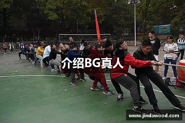 介绍BG真人